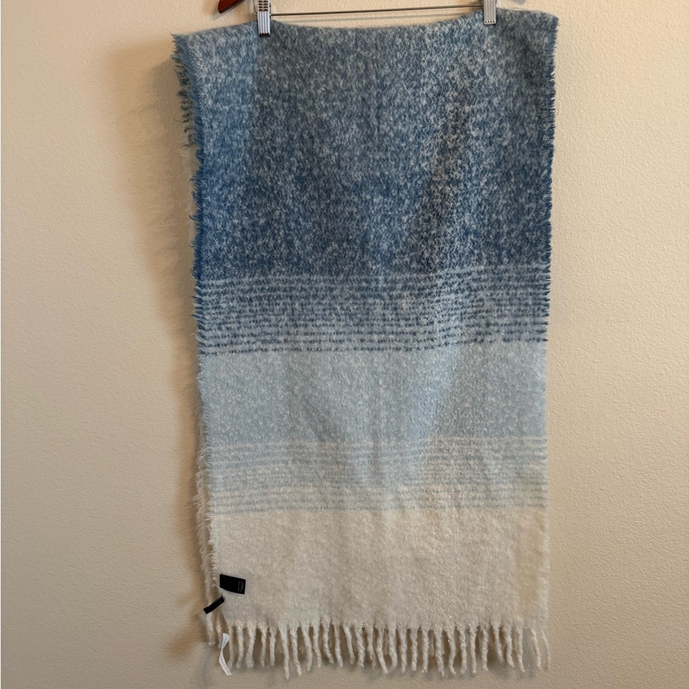 Ann Taylor Women's Cozy Fringe Scarf - Blue